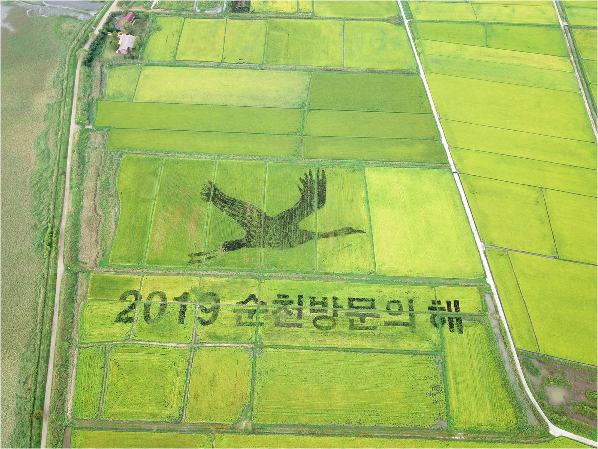 순천만 자연생태공원 논 디자인
