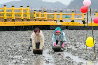 시민과 함께 만든 ‘제27회 순천만 갈대축제’ 성황리 마무리